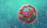 生物科技细胞内部结构医学演示动画