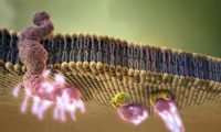 医疗生物化学细胞结构动画视频