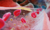三维人体癌症细胞医学动画