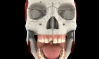 3D牙科补牙动画